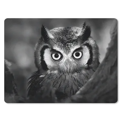 Produktbild von MuchoWow® Mauspad Mousepad Vogel - Eule - Porträt - Schwarz - Weiß 40x30 cm - Mousepads - Maus Mat - Pad - Mausunterlage - Anti Rutsch