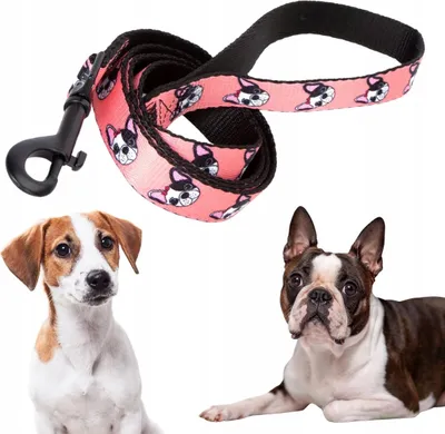 Produktbild von Traditionelle Leine für kleine mittelgroße Hunde mit Griff und modischem Aufdruck S