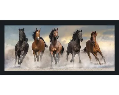 Produktbild von Gerahmtes Bild 5 Horses 130x60 cm