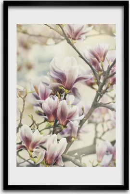 Produktbild von Bild - Bilderrahmen - 40 cm x 60 cm - MDF - Rahmen - Wandkunst - Magnolie