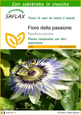 Immagine prodotto di SAFLAX  - Fiore della passione - 25 semi - Con substrato - Passiflora