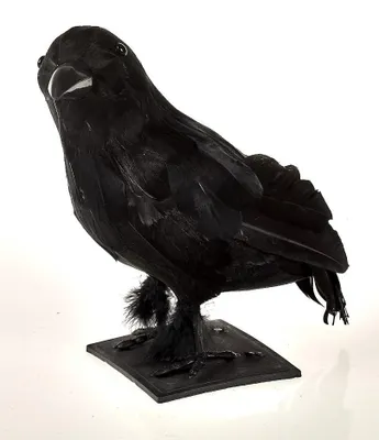 Dekorationsrabe, schwarz, 23 cm, Kunststoff