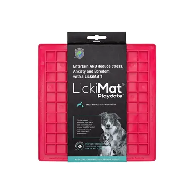 Image de LickiMat Tapis à lécher Playdate Turquoise
