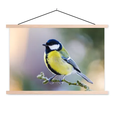 Produktbild von MuchoWow® Textilposter Kohlmeise - Vogel - Zweig 60x40 cm mit holzfarbenen Rahmen - Bilder