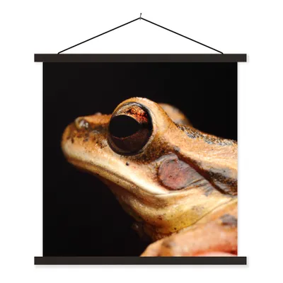 Produktbild von MuchoWow® Textilposter Frosch - Auge - Schwarz 90x90 cm mit schwarzem Rahmen - Magnetisches