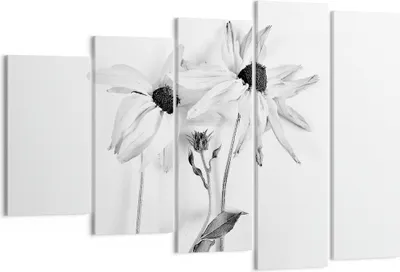 Produktbild von Bild auf Leinwand - Leinwandbild - 5 Teile - Verwelkt Blumen Monochrom - 150x100cm - Wand Bild - Wanddeko - Wandbilder - Leinwanddruck - Bilder - Wanddekoration - Leinwand bilder - EG150x100-4737