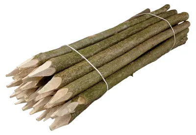 Immagine prodotto di Paletti in legno per recinzione, 25 pezzi (altezza 70 cm)