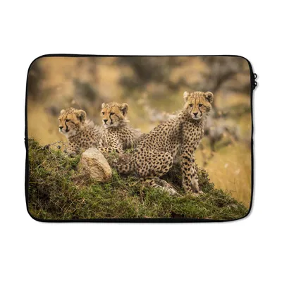 Produktbild von MuchoWow® Laptop Hülle 13 Zoll Leopard - Wald - Tier Laptoptasche - Laptophülle - Sleeve - Rundumschutz