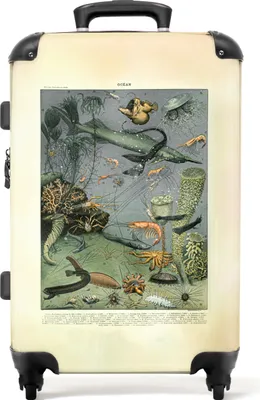 Produktbild von NoBoringSuitcases.com® Großer Koffer - Meer - Tiere - Natur - Vintage - Illustration - Kombinationsschloss TSA - Hartschalen Trolley 4 Rollen - 72 liter - Reisekoffer - 66 cmKoffer Mittelgroß 67x43x25 cm, 72L,