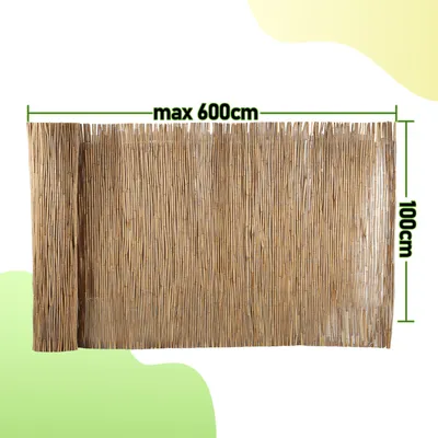 Produktbild von TolleTour Schilfrohrmatte 100x600cm Schilfmatte Sichtschutzmatte Windschutz Sichtschutz für Balkon, Garten, Terrasse