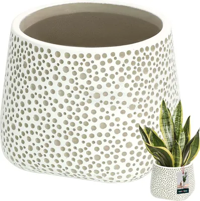 Immagine prodotto di KOTARBAU® Vaso da fiori in Vetroceramica non smaltata finitura opaca grigio bulboso ⌀ 11 cm | H 11 cm 1 pz. Fioriere Fioriere per piante da interno Vaso da fiori in Vetroceramica grande Vaso da fiori in Vetroceramica moderno