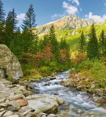 Produktbild von Fototapete - Valley 225x250cm - Vliestapete