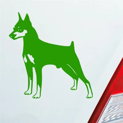 Produktbild von Auto Aufkleber Zwergpinscher Hund Dog Animal 10x10 cm Hellgrün Sticker Heckscheibenaufkleber