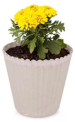Image de Pot de fleurs sable beige strié comme pot de plantes d'extérieur rond 20 cm