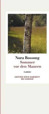 Obrázek produktu pro Sommer vor den Mauern