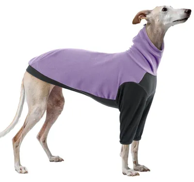 Immagine prodotto di Maglione per cani, inverno, con scaldacollo, colore viola, taglia S