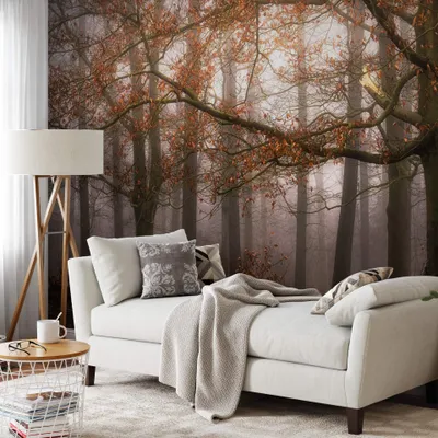 Produktbild von A.S. Création Vlies Fototapete Baum Foggy Autumn Forest DD119030 Wald Designwall