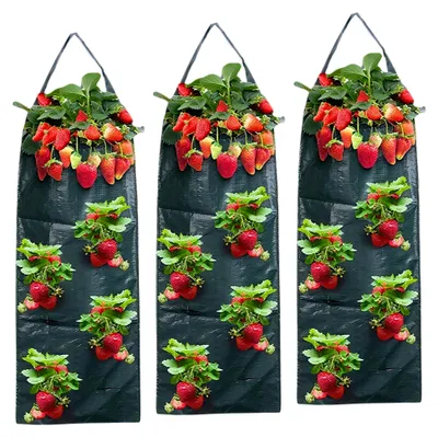 Produktbild von 3 Stück Hängende Pflanztaschen für den Außenbereich, Erdbeerpflanzsack mit 8 Löchern, Atmungsaktive und Strapazierfähige Pflanzsäcke mit Griffen, Pflanztasche für Erdbeeren, Tomaten, Gemüse (Grün)