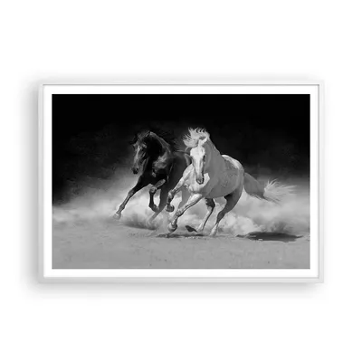 Produktbild von Gerahmtes Poster - Weißer Rahmen - Andalusier Pferde Galopp - 100x70 cm - Wand Bild - Wanddeko - Wandbilder - Wandposter - Bilderrahmen - Bilder - Kunstdruck - Wandbild - P2WAA100x70-4240