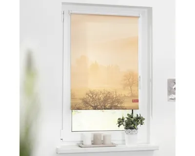 Obrázek produktu pro Roleta na okno Lichtblick bez vrtání oranžové Toskánsko 45x150 cm včetně upínacích držáků