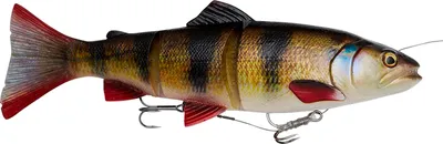 Zdjęcie produktu dla Przynęta Savage Gear 4D Line Thru Trout, kolor:Perch, długość cm:40,0, waga g:685