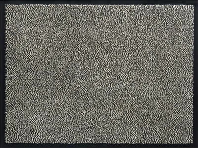 Produktbild von Schmutzfangmatte für innen beige in 40x60 cm