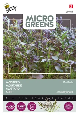 Produktbild von Buzzy Microgreens Blattsenf Red Frills Samen - Ca. 1 gr | Buzzy_080311