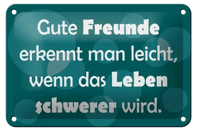 Produktbild von Blechschild Spruch 18x12cm Gute Freunde grünes