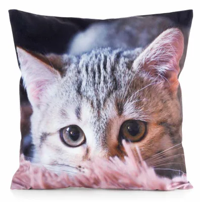 Image de Taie d'oreiller décorative 45x45 Animal 75 Chaton Eurofirany