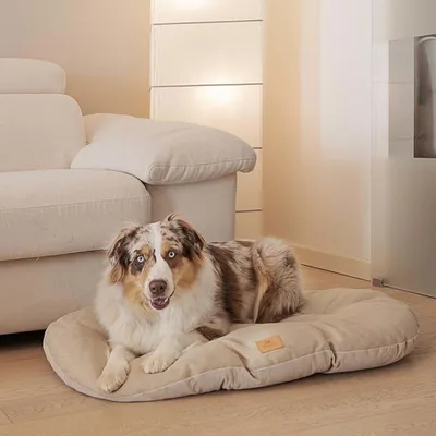 Produktbild von Ferplast Hunde- und Katzenkissen Stuart 89/10 Beige
