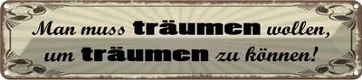 Produktbild von vianmo Blechschild 10x46 cm Muss träumen wollen um zu können Spruch Zitat
