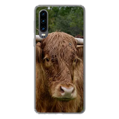 Produktbild von MuchoWow® Handyhülle Schutzhülle Hülle für Huawei P30 Schottische Highlander - Tiere - Gras Silikon Softcase Handy Hülle - Kartenbesitzer