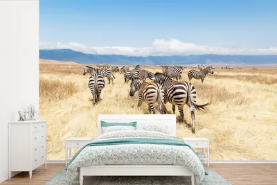 Produktbild von MuchoWow® Fototapete für Wohnzimmer oder Schlafzimmer Wandtapete Vinyl Motivtapete Zebraherde im Ngorongoro-Krater - 390x260 cm - Papiertapete