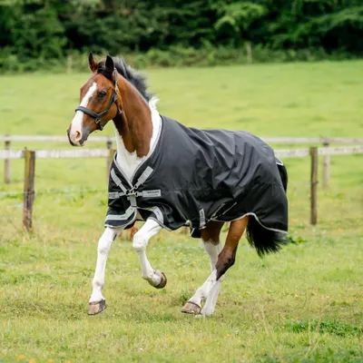 Produktbild von Horseware Weidedecke in Größe 130 - Amigo 1200D XL Original 250g - Black/Titanium Grey/Silver