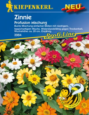 Zdjęcie produktu dla Zinnia Profusion mieszanka, odporna na suszę, dywanowy wzrost ok. 20 cm wysokości