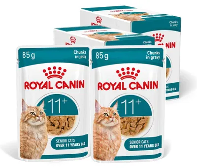 Produktbild von Royal Canin Ageing 11+ Mix Nassfutter 24 x 85 g Stückchen in Soße und Gelee Für ausgewachsene Katzen ab 11 Jahren