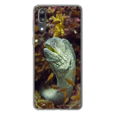 Produktbild von MuchoWow® Handyhülle Schutzhülle Hülle für Huawei P20 Fische - Korallen - Ozean Silikon Softcase Handy Hülle - Hardcover