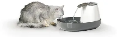 Image de Filtre Savic pour fontaine à boire "Volcano