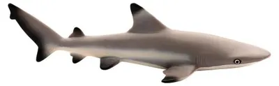 Produktbild von Safari Ltd Black Tip Reef Shark Figur Braun From 3 Years Braun From 3 Years