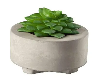 Image de ASA Sukkulente II, grün DEKO D. 8,5 cm, im grauen Betontopf 66241444 Vorteilsset beinhaltet 4 x den genannten Artikel und Geschenk + Spende