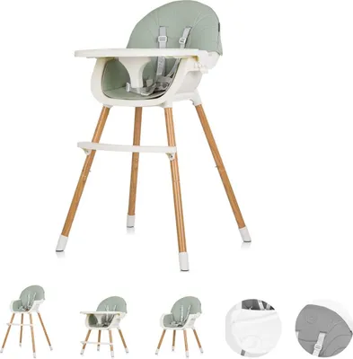 Immagine prodotto di Chipolino seggiolone Rio 2 in 1, seggiolino per bambini gambe antiscivolo imbracatura a 5 punti verde
