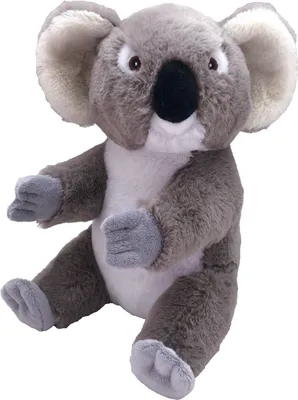 Immagine prodotto di Wild Republic - Peluche - Ecokins medio - Koala