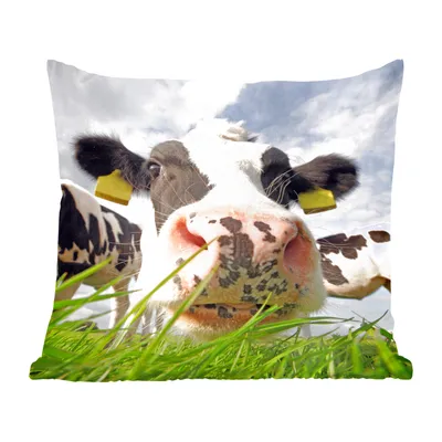 Produktbild von MuchoWow® Zierkissen Sofakissen Wohnzimmer Dekokissen 40x40 cm Kuh - Bauernhof - Gras - Tiere - Foto Kissen - Schlafzimmer Dekoration