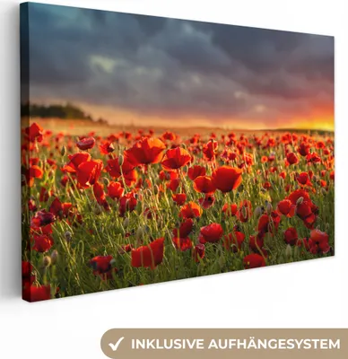 Produktbild von MuchoWow® - Leinwandbilder - Sonnenuntergang über einem Feld von Mohnblumen, Wandbild, Wanddeko Bilder Wohnzimmer, 120x80 cm