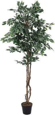 Produktbild von EUROPALMS Silver ficus benjamini, sztuczna roślina, 180 cm