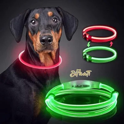 Produktbild von Hundeleuchte Halsband mit Licht für Spaziergänge