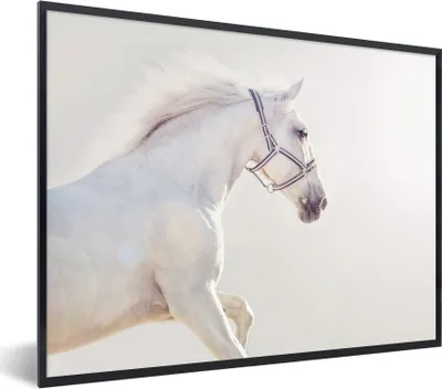 Produktbild von MuchoWow® Gerahmtes Poster Pferd - Weiß - Mähne 40x30 cm - Poster mit Schwarzem Bilderrahmen Wandposter Rahmen Foto Bilder - Kunstposter - Wanddekorationen