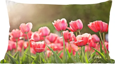 Produktbild von MuchoWow® Zierkissen Sofakissen Wohnzimmer Dekokissen 60x40 cm Tulpen - Sonne - Frühling - Kopfkissen - Polster mit Foto