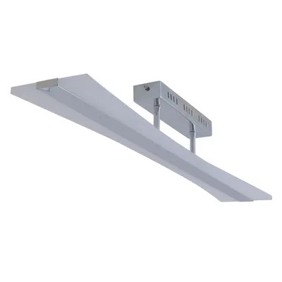 Zdjęcie produktu dla Lampa sufitowa LED / srebrna