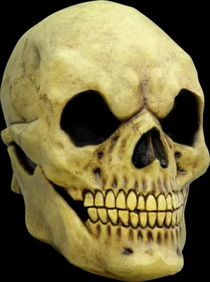Produktbild von Totenkopf Schädel - Skelett Maske Halloween Kostüm